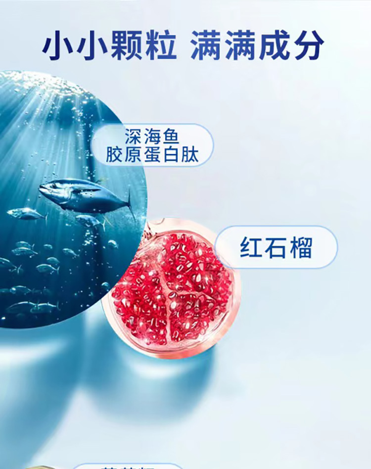 5白里蓝丁酸01.jpg