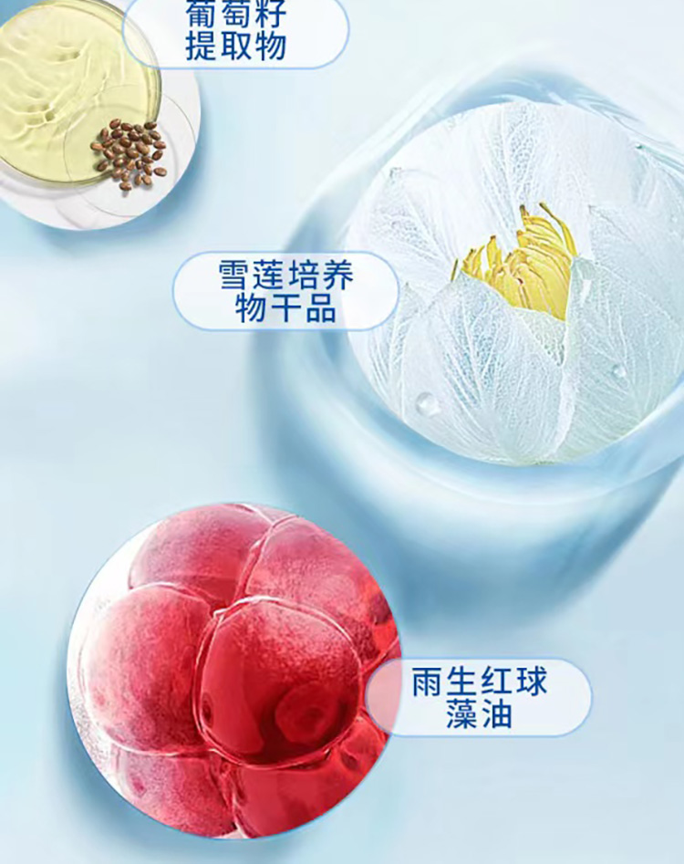 5白里蓝丁酸02.jpg